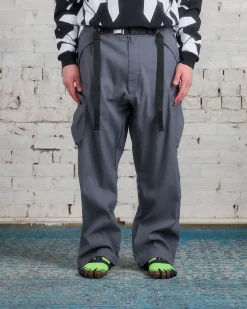Hot ACRONYM P55-M Pant Blaugrau