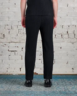 Sale HOMME PLISSÉ ISSEY MIYAKE Issey Miyake Homme Plisse Basics Straight Pant Black