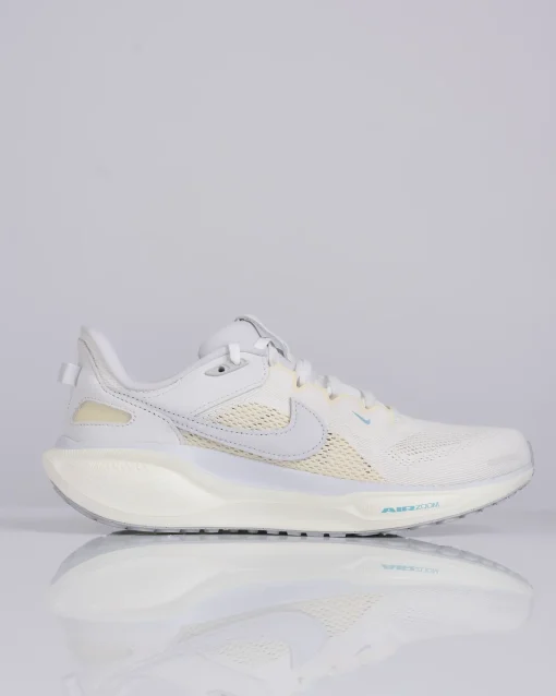 Online Nike Air Zoom Pegasus 41 SP Ivory Vast Grey-Coconut Milk HQ6025 100
