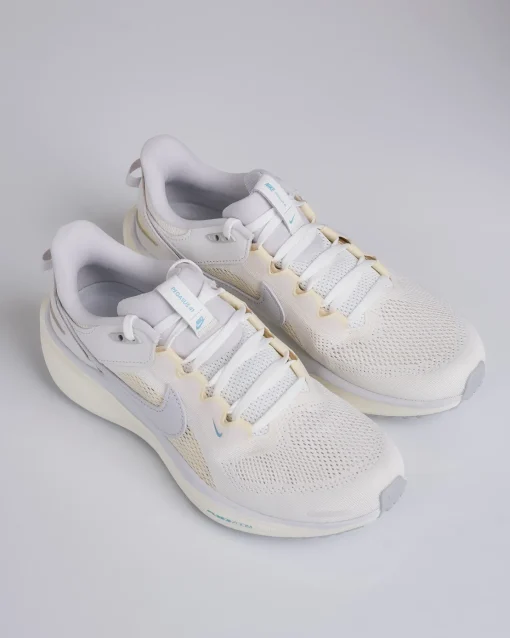 Online Nike Air Zoom Pegasus 41 SP Ivory Vast Grey-Coconut Milk HQ6025 100