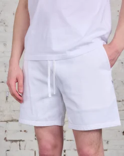 Online Reigning Champ Midweight Terry 6